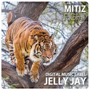 收聽Mitiz的Fight歌詞歌曲