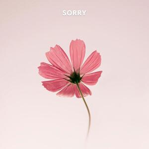 Album sorry from 