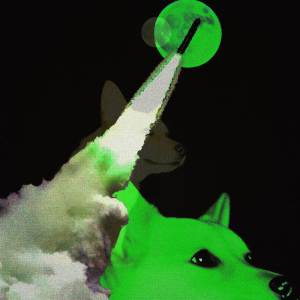 收聽Duke WestLake的DOGE TO THE MOON歌詞歌曲