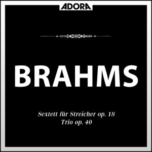 ดาวน์โหลดและฟังเพลง IV. Finale - Allegro con brio พร้อมเนื้อเพลงจาก Günther Ludwig