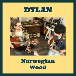 Norwegian Wood (feat. Brian A. Park)