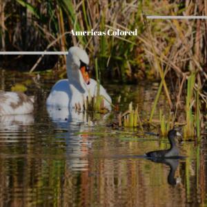 收聽Vins Kith的Bakery Impasse歌詞歌曲