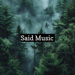 Album Said Music from BVR