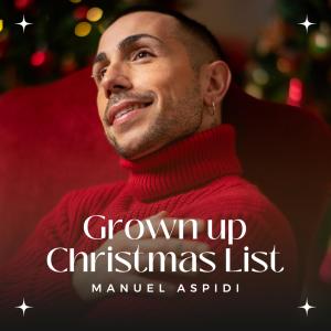收聽Manuel Aspidi的Grown-Up Christmas List歌詞歌曲