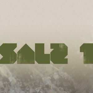 Listen to 1000B song with lyrics from Salz