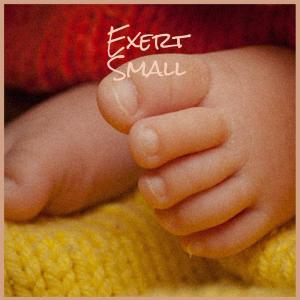 Various的专辑Exert Small