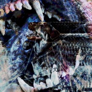 Listen to Rottweiler (feat. reprieved) song with lyrics from PrVdnce::land