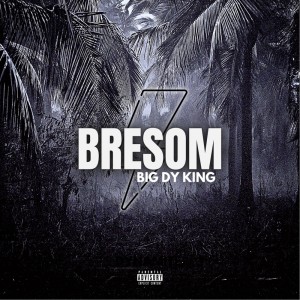 Listen to Bresom (Explicit) song with lyrics from BIG DY KING