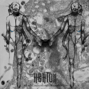 ดาวน์โหลดและฟังเพลง Flesh พร้อมเนื้อเพลงจาก Abaton