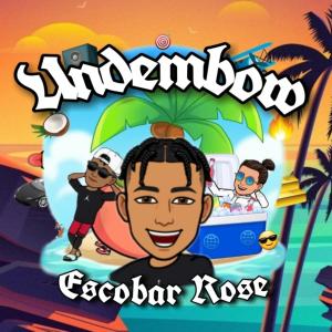 Dengarkan Undembow(feat. Escobar Rose) lagu dari Nailow dengan lirik