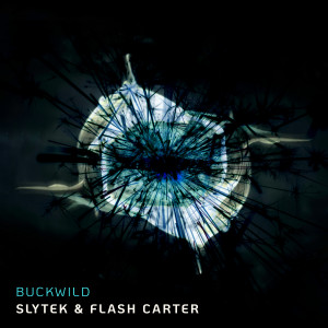 Slytek的專輯Buckwild