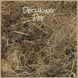 Dengarkan lagu Declining Pee nyanyian Toad Husne dengan lirik