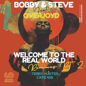 Listen to Welcome to the Real World (Terry Hunter Reprise Remix) song with lyrics from Bobby & Steve