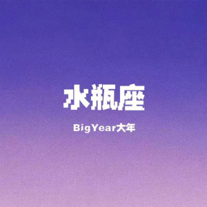 อัลบัม 水瓶座 ศิลปิน BigYear大年