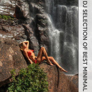 DJ Selection of Best Minimal dari Various