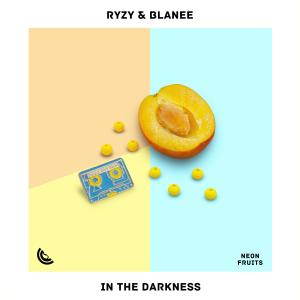 Listen to In The Darkness song with lyrics from RYZY