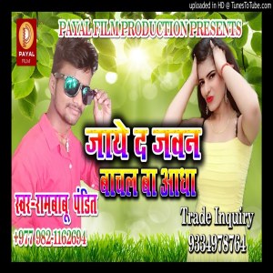 Listen to Jaye Da Jawan Bachal Ba Aadha (Bhojpuri Song) song with lyrics from Rambabu Pandit