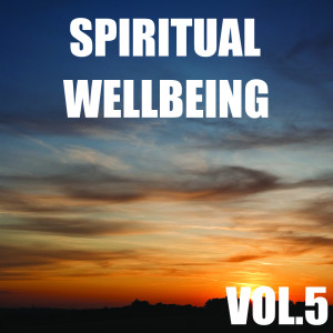Nightwalkers的專輯Spiritual Wellbeing, Vol.5