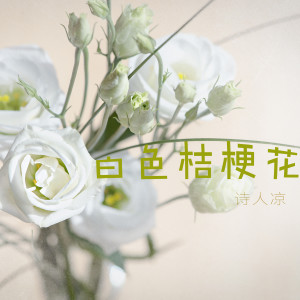 收聽詩人涼的白色桔梗花歌詞歌曲