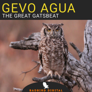 收聽Gevo Agua的Be Dance歌詞歌曲