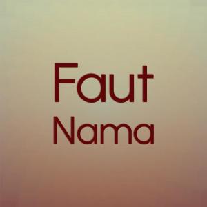 Various Artists的專輯Faut Nama