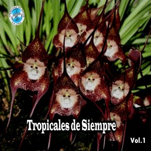 Varios Artistas的专辑Tropicales de Siempre, Vol. 1