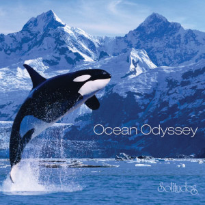 ดาวน์โหลดและฟังเพลง The Dolphins พร้อมเนื้อเพลงจาก Dan Gibson's Solitudes