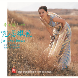 Listen to Lonely Wide Goose at Haiqing River (Mongolian Folk Songs) song with lyrics from Hanxi Li