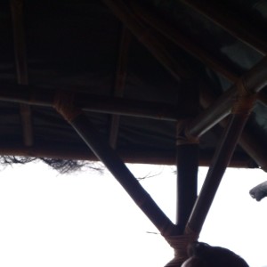 Dengarkan lagu Berlayar Di Lautan (Cover) nyanyian Alqibni dengan lirik