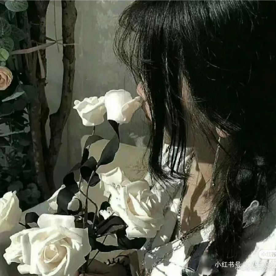 苏稚欣