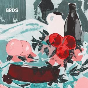 Listen to Clouds song with lyrics from brds