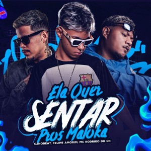 Album Ela Quer Sentar Pros Maloka (Explicit) from cjnobeat