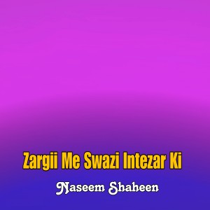 Album Zargii Me Swazi Intezar Ki from 