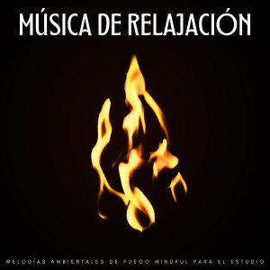 Album Música De Relajación: Melodías Ambientales De Fuego Mindful Para El Estudio oleh Musica para Estudiar Specialistas
