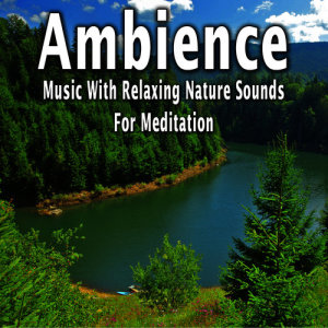 Meditation Zen Masters的專輯Ambience: Music with Relaxing Nature Sounds for Meditation