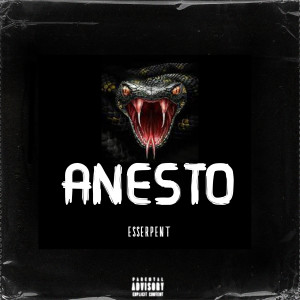 Album Anesto (Explicit) from 