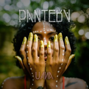 收聽的Pantera歌詞歌曲