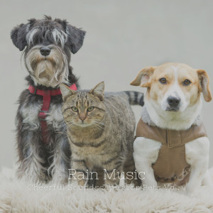 Rain Music: Cheerful Soundscapes for Pets Vol. 1