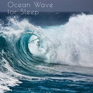 Natuurgeluiden的專輯Ocean Waves For Sleep