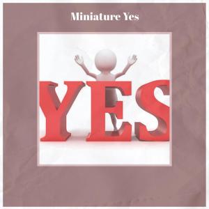 Various的专辑Miniature Yes