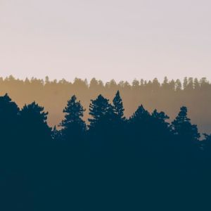收聽SPA的Day Dreaming歌詞歌曲