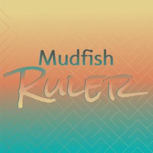 Various Artists的專輯Mudfish Ruler