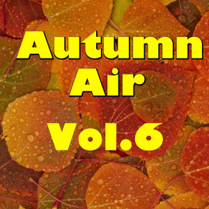Album Autumn Air, Vol.6 from Various