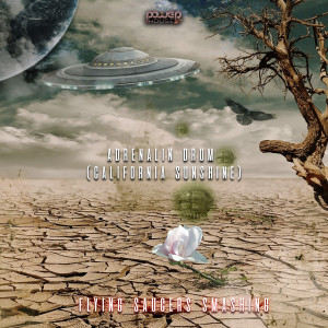 Listen to Desert Flower (Daylight Mix) song with lyrics from Adrenalin Drum