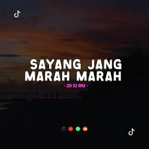 Zio DJ的專輯DJ SAYANG JANG MARAH MARAH