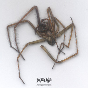 ดาวน์โหลดและฟังเพลง Карусель (Explicit) พร้อมเนื้อเพลงจาก dopekid00