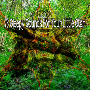 收聽Sleep Sounds of Nature的Rest in the World歌詞歌曲