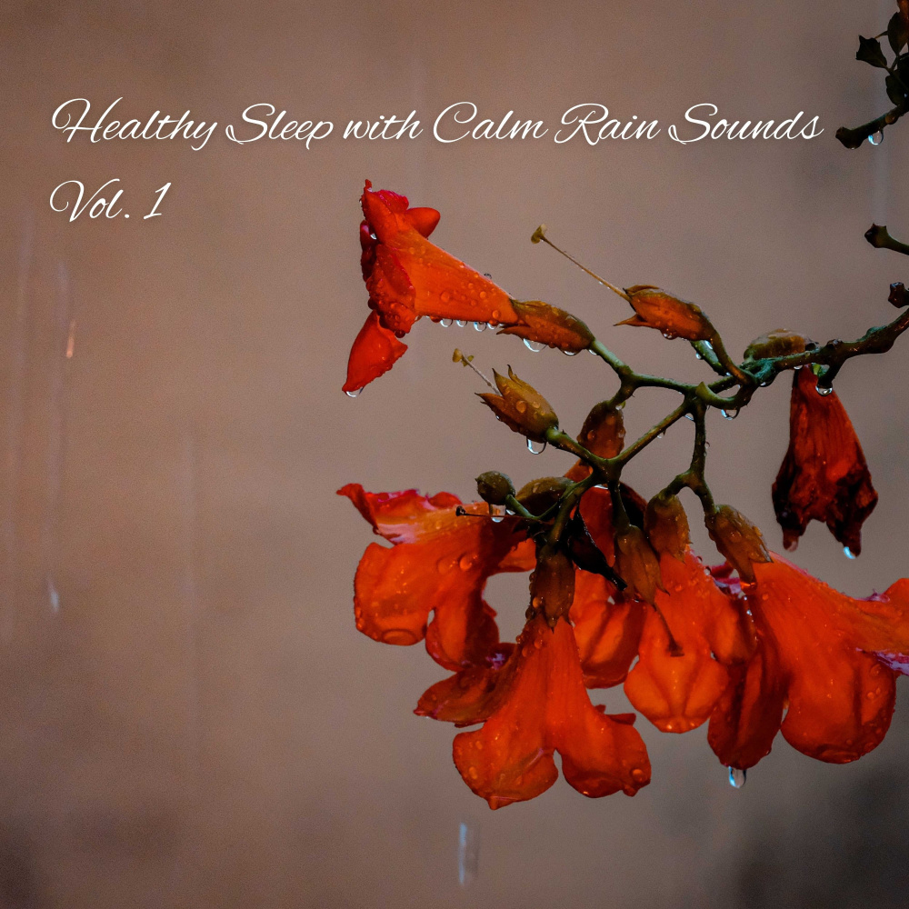 Sleepful Calm Rainfall Sound
