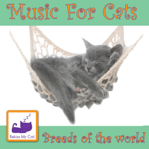 Dengarkan lagu Maine Coon nyanyian RelaxMyCat dengan lirik