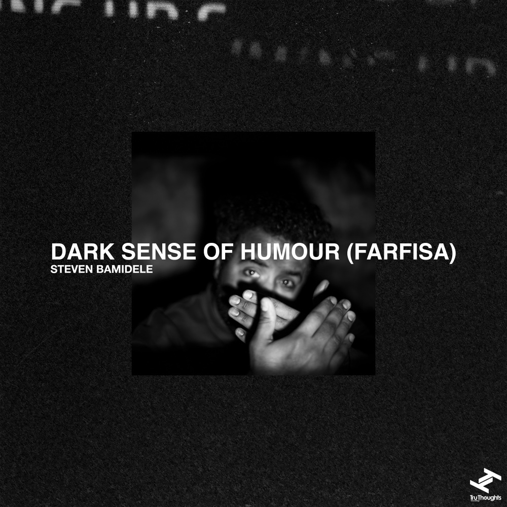 Dark Sense Of Humour (Farfisa) (Instrumental)